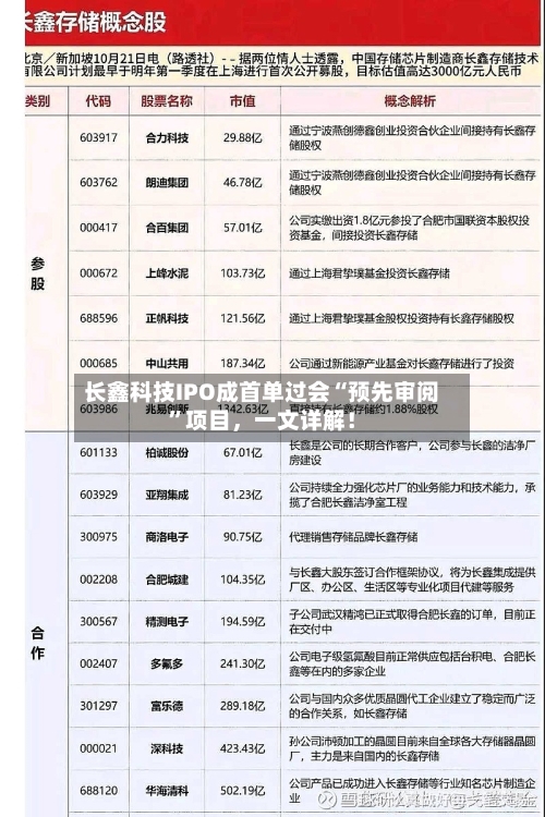 长鑫科技IPO成首单过会“预先审阅	”项目，一文详解！-第3张图片