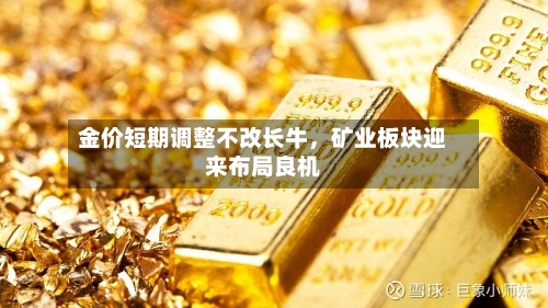 金价短期调整不改长牛，矿业板块迎来布局良机-第2张图片