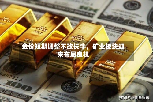 金价短期调整不改长牛，矿业板块迎来布局良机-第3张图片