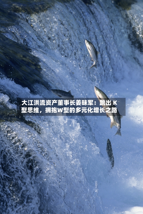 大江洪流资产董事长姜昧军：跳出 K 型思维，拥抱W型的多元化增长之路-第2张图片