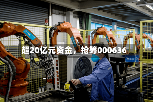 超20亿元资金	，抢筹000636-第2张图片