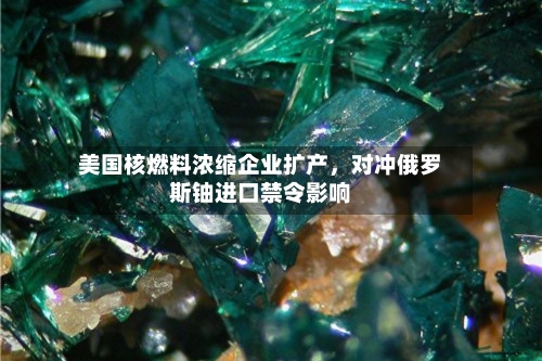 美国核燃料浓缩企业扩产	，对冲俄罗斯铀进口禁令影响-第2张图片