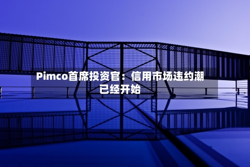 Pimco首席投资官:信用市场违约潮已经开始-第3张图片