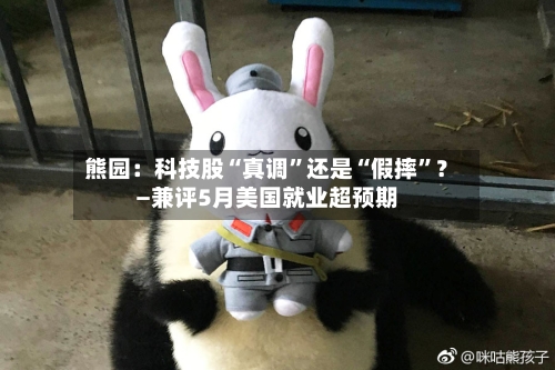 熊园：科技股“真调”还是“假摔”？—兼评5月美国就业超预期-第2张图片