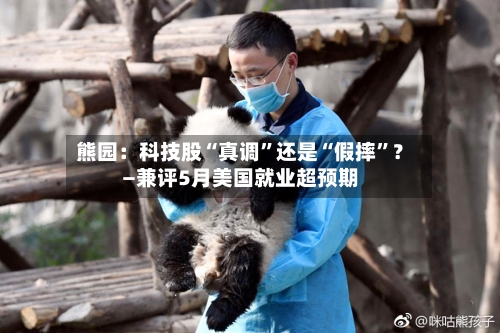 熊园：科技股“真调	”还是“假摔”？—兼评5月美国就业超预期-第3张图片