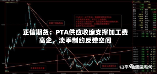 正信期货：PTA供应收缩支撑加工费高企，淡季制约反弹空间-第2张图片