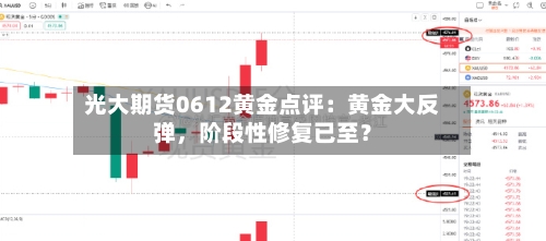 光大期货0612黄金点评：黄金大反弹，阶段性修复已至？-第3张图片