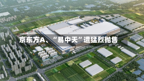 京东方A、“易中天”遭猛烈抛售-第3张图片