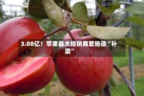 3.08亿！苹果最大经销商爱施德“补票	”-第2张图片