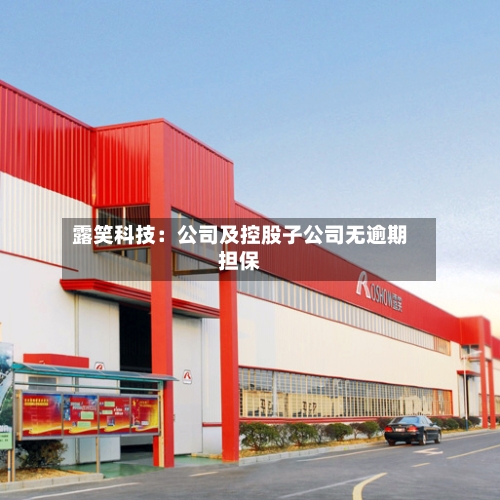 露笑科技:公司及控股子公司无逾期担保-第2张图片
