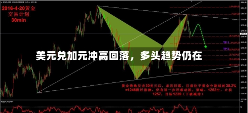美元兑加元冲高回落，多头趋势仍在-第3张图片