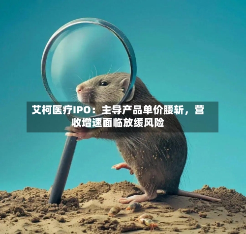 艾柯医疗IPO：主导产品单价腰斩，营收增速面临放缓风险-第2张图片