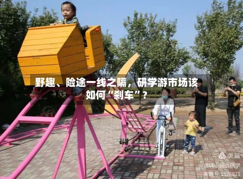 野趣	、险途一线之隔，研学游市场该如何“刹车	”？-第2张图片