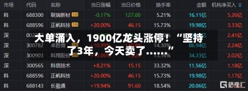 大单涌入，1900亿龙头涨停！“坚持了3年	，今天卖了……	”-第2张图片