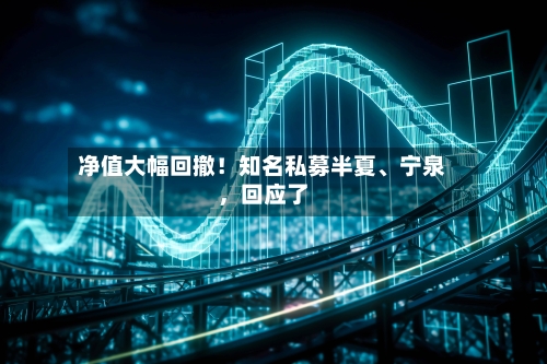 净值大幅回撤！知名私募半夏、宁泉，回应了-第2张图片