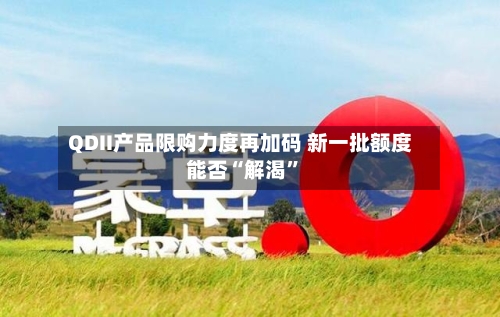 QDII产品限购力度再加码 新一批额度能否“解渴”-第3张图片