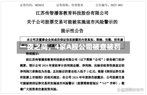 一夜之间，4家A股公司被查被罚-第3张图片