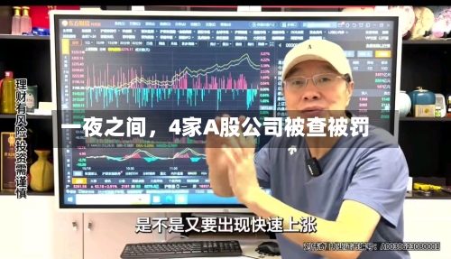 一夜之间，4家A股公司被查被罚-第2张图片