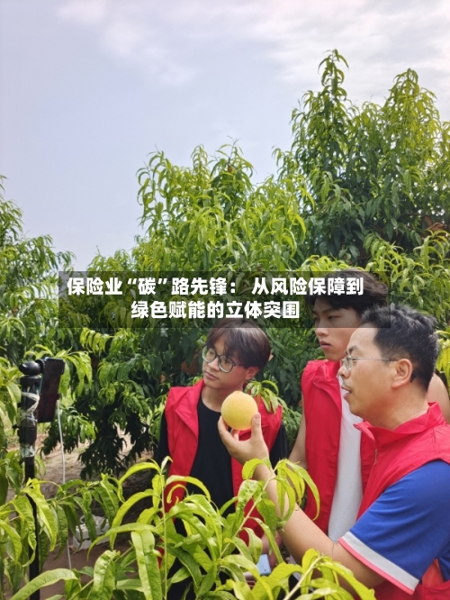 保险业“碳	”路先锋： 从风险保障到绿色赋能的立体突围-第3张图片
