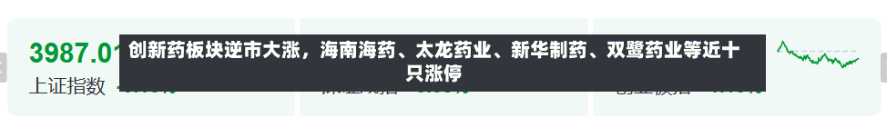 创新药板块逆市大涨	，海南海药、太龙药业、新华制药	、双鹭药业等近十只涨停-第2张图片