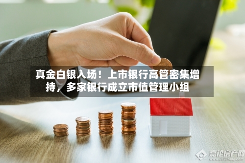 真金白银入场！上市银行高管密集增持，多家银行成立市值管理小组-第3张图片