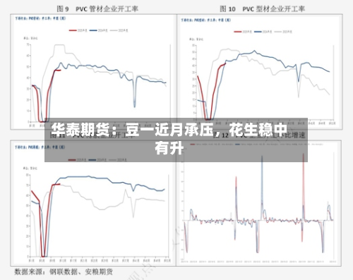 华泰期货：豆一近月承压	，花生稳中有升-第2张图片