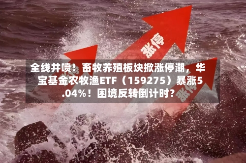 全线井喷！畜牧养殖板块掀涨停潮，华宝基金农牧渔ETF（159275）暴涨5.04%！困境反转倒计时？-第3张图片