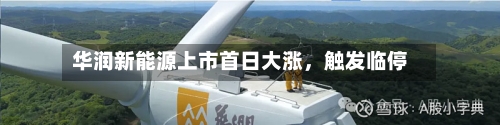 华润新能源上市首日大涨，触发临停-第2张图片
