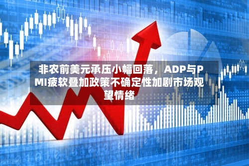 非农前美元承压小幅回落	，ADP与PMI疲软叠加政策不确定性加剧市场观望情绪-第3张图片