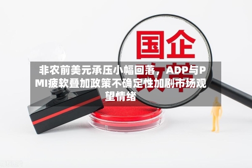 非农前美元承压小幅回落，ADP与PMI疲软叠加政策不确定性加剧市场观望情绪-第2张图片