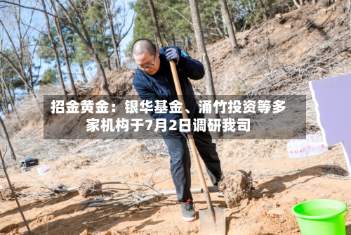 招金黄金：银华基金	、涌竹投资等多家机构于7月2日调研我司-第2张图片