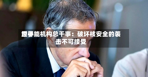 世界原子能机构总干事：破坏核安全的袭击不可接受