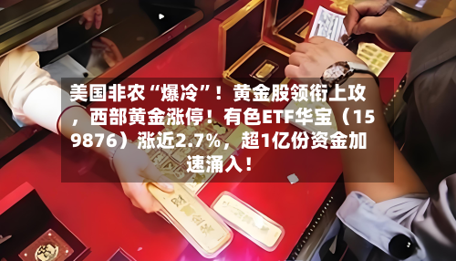 美国非农“爆冷”！黄金股领衔上攻，西部黄金涨停！有色ETF华宝（159876）涨近2.7%，超1亿份资金加速涌入！-第3张图片