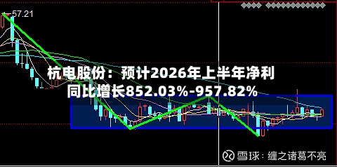 杭电股份：预计2026年上半年净利同比增长852.03%-957.82%