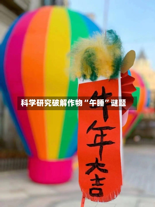 科学研究破解作物“午睡	”谜题-第2张图片