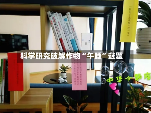 科学研究破解作物“午睡”谜题-第3张图片