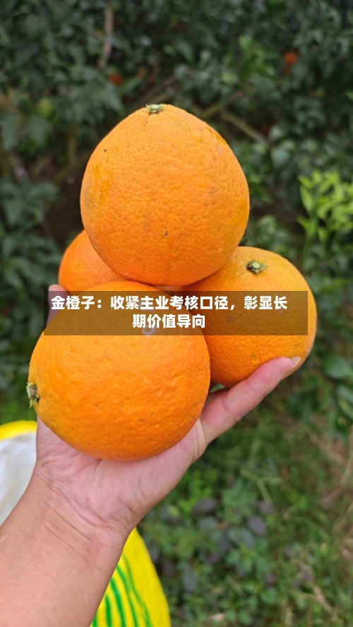金橙子：收紧主业考核口径，彰显长期价值导向-第2张图片