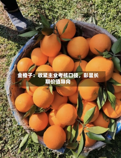 金橙子：收紧主业考核口径	，彰显长期价值导向-第3张图片