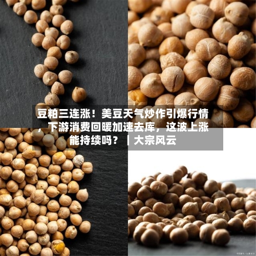 豆粕三连涨！美豆天气炒作引爆行情，下游消费回暖加速去库，这波上涨能持续吗？｜大宗风云-第3张图片