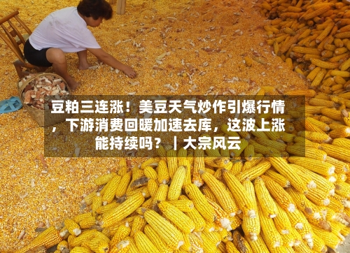 豆粕三连涨！美豆天气炒作引爆行情，下游消费回暖加速去库	，这波上涨能持续吗？｜大宗风云-第2张图片