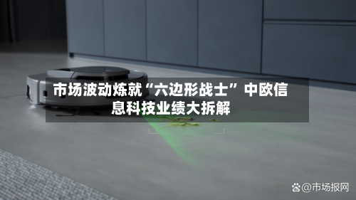 市场波动炼就“六边形战士” 中欧信息科技业绩大拆解-第2张图片