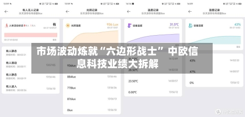 市场波动炼就“六边形战士” 中欧信息科技业绩大拆解-第3张图片
