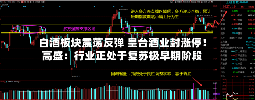 白酒板块震荡反弹 皇台酒业封涨停！高盛：行业正处于复苏极早期阶段