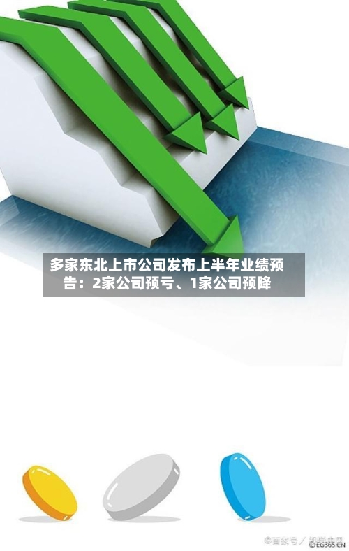 多家东北上市公司发布上半年业绩预告：2家公司预亏、1家公司预降-第2张图片