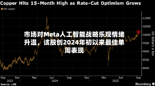 市场对Meta人工智能战略乐观情绪升温,该股创2024年初以来最佳单周表现