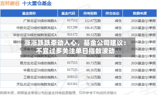 涨涨跌跌牵动人心，基金公司建议：不宜过多关注单日指数波动-第3张图片