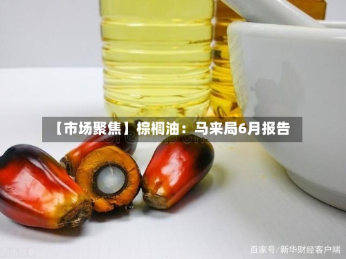 【市场聚焦】棕榈油：马来局6月报告-第2张图片
