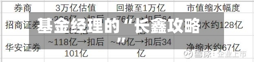 基金经理的“长鑫攻略”-第3张图片
