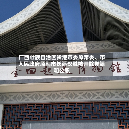 广西壮族自治区贵港市委原常委、市人民政府原副市长潘汉胜被开除党籍和公职-第3张图片