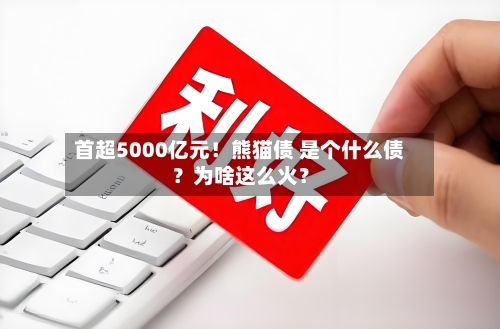 首超5000亿元!熊猫债 是个什么债?为啥这么火?